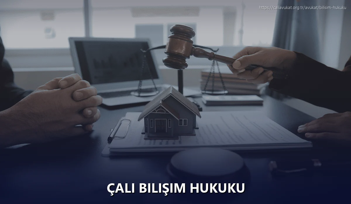 Çalı Bilişim Hukuku