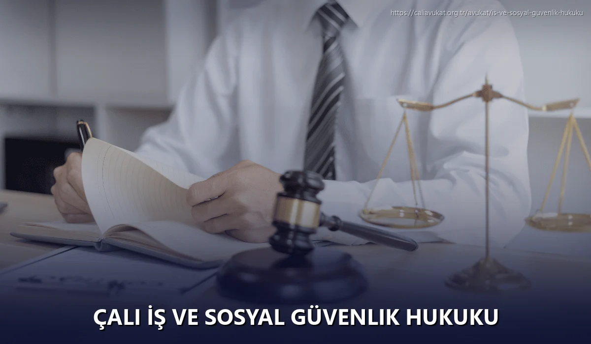 Çalı İş ve Sosyal Güvenlik Hukuku