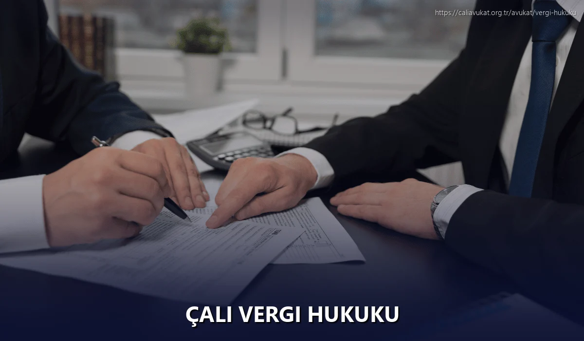 Çalı Vergi Hukuku